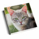 Stunning Photo Glass Paperweight Image 5 of 9